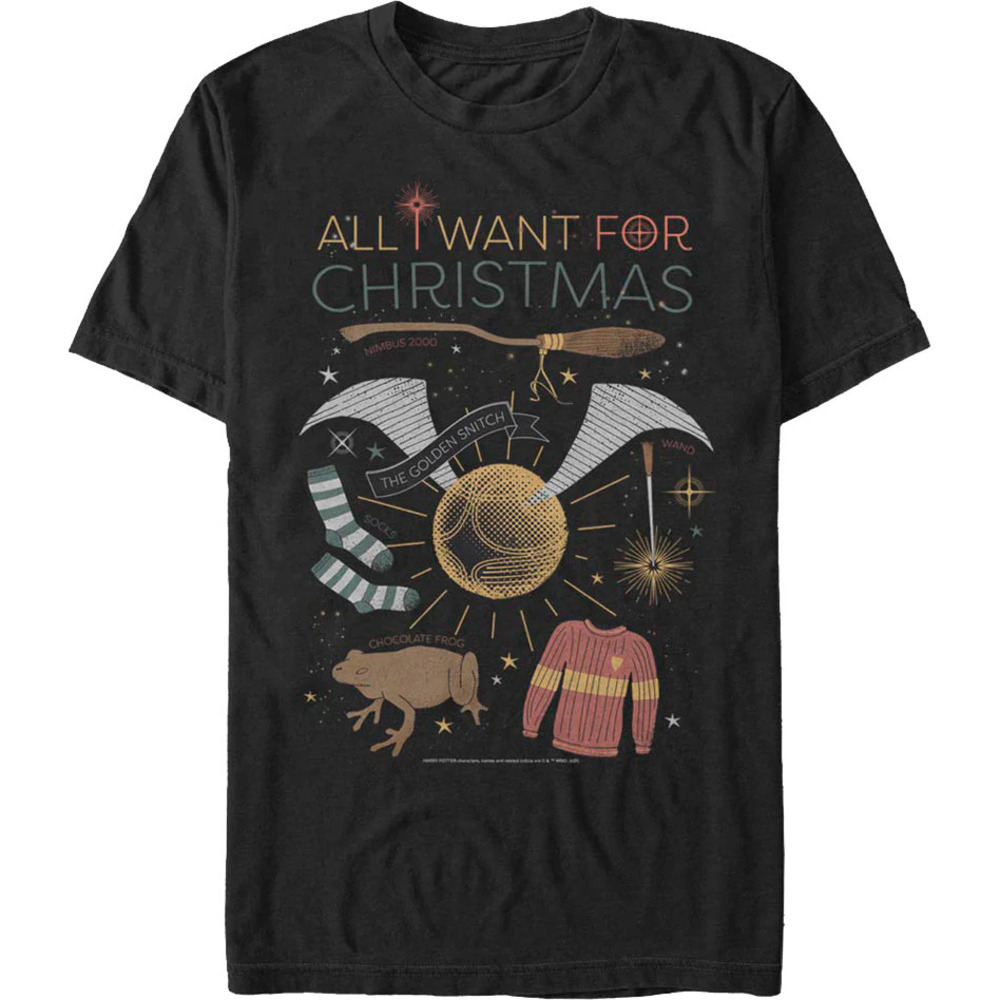 All I Want For Christmas Harry Potter Tshirt